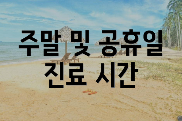 주말 및 공휴일 진료 시간