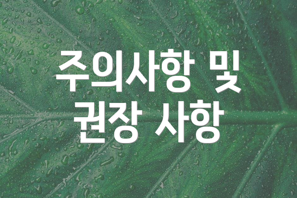 주의사항 및 권장 사항