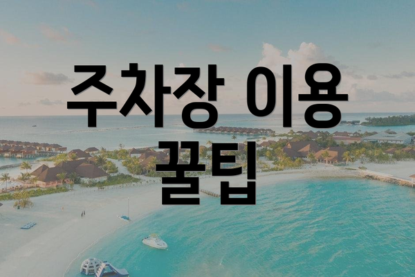 주차장 이용 꿀팁