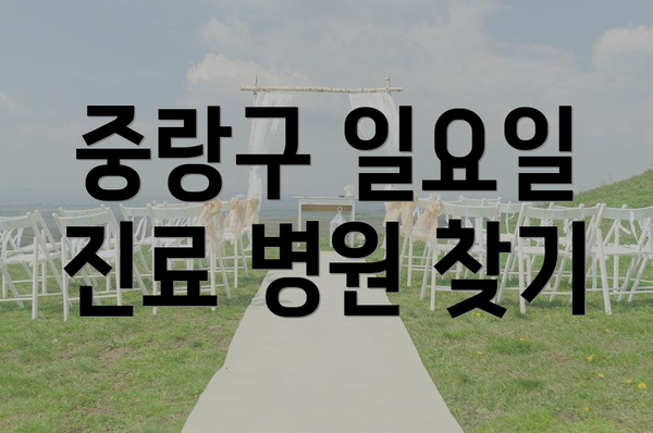 중랑구 일요일 진료 병원 찾기