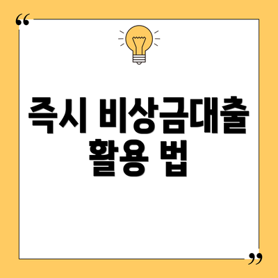 즉시 비상금대출 활용 법
