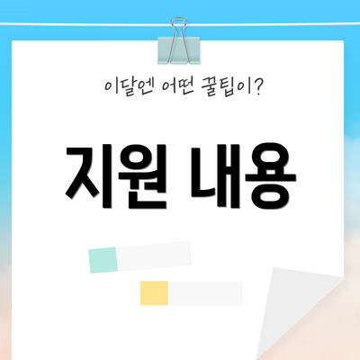 지원 내용