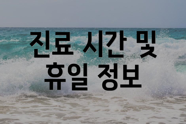 진료 시간 및 휴일 정보