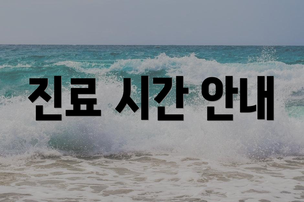 진료 시간 안내
