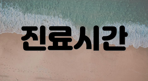 진료시간