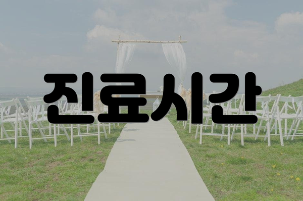 진료시간