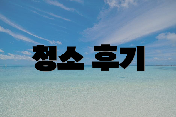 청소 후기