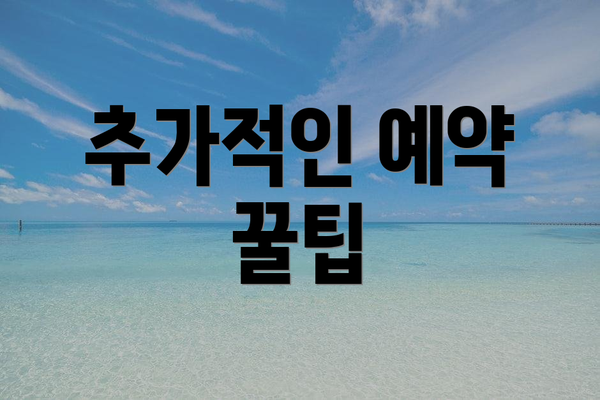 추가적인 예약 꿀팁