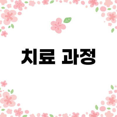 치료 과정