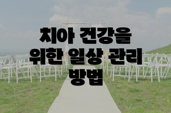 치아 건강을 위한 일상 관리 방법