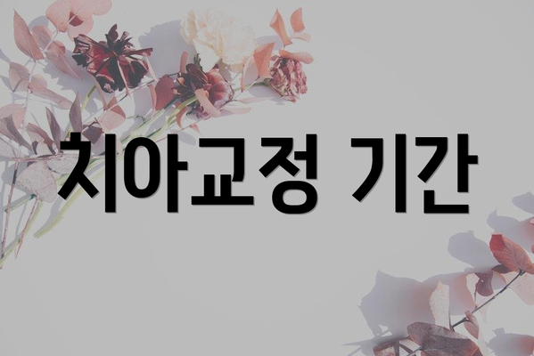 치아교정 기간