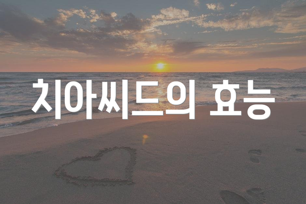 치아씨드의 효능