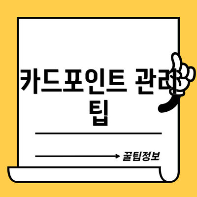 카드포인트 관리 팁