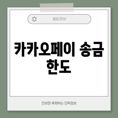 카카오페이 송금 한도
