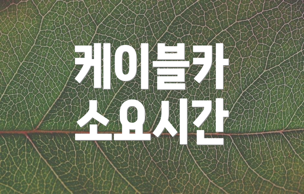 케이블카 소요시간