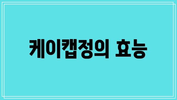 케이캡정의 효능