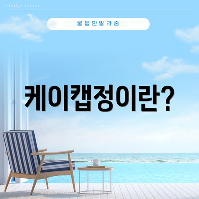 케이캡정이란?