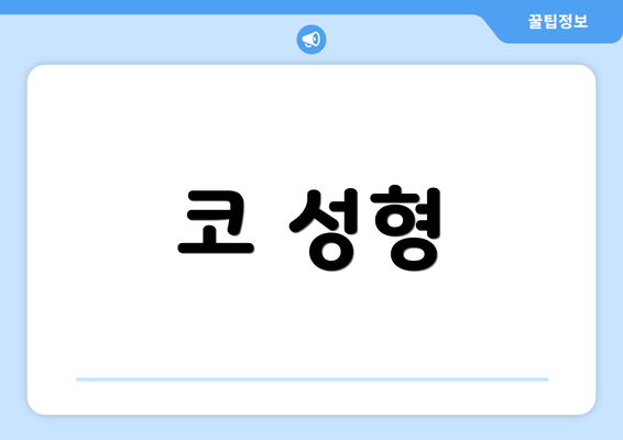 코 성형