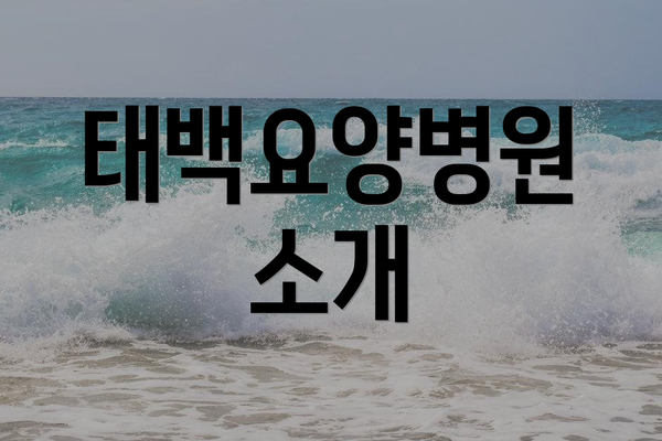 태백요양병원 소개