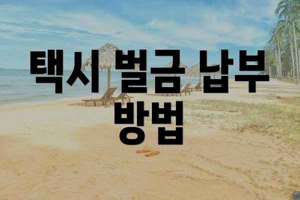 택시 벌금 납부 방법