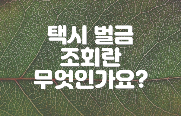 택시 벌금 조회란 무엇인가요?