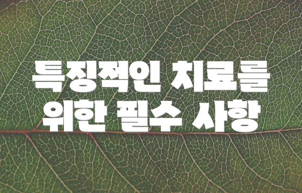 특징적인 치료를 위한 필수 사항