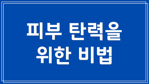 피부 탄력을 위한 비법