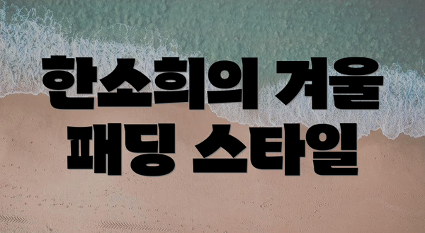 한소희의 겨울 패딩 스타일