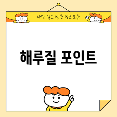 해루질 포인트