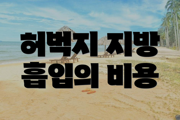 허벅지 지방 흡입의 비용