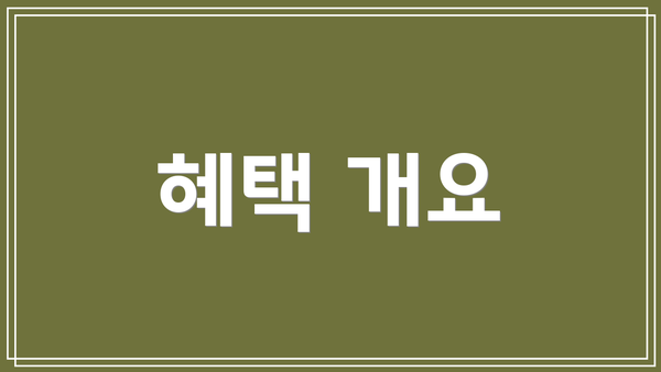 혜택 개요