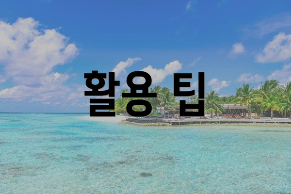 활용 팁