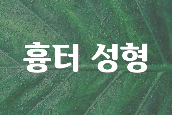 흉터 성형