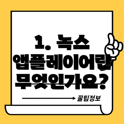 1. 녹스 앱플레이어란 무엇인가요?