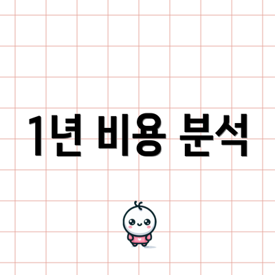 1년 비용 분석