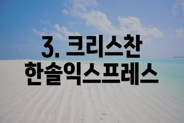 3. 크리스찬 한솔익스프레스