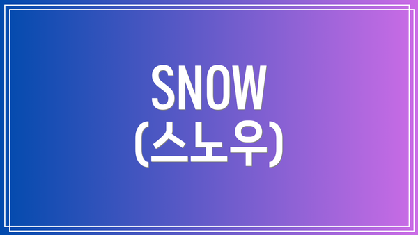 SNOW (스노우)