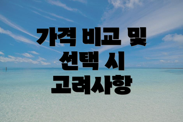 가격 비교 및 선택 시 고려사항