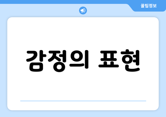 감정의 표현