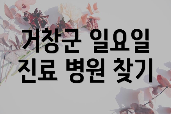 거창군 일요일 진료 병원 찾기