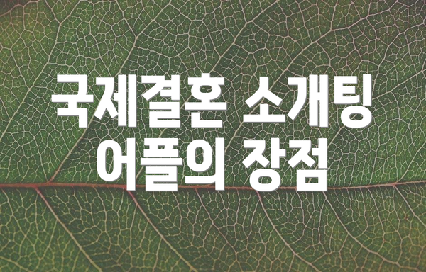 국제결혼 소개팅 어플의 장점