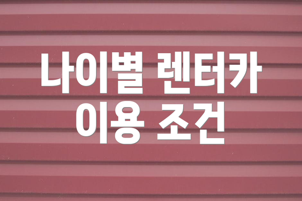 나이별 렌터카 이용 조건