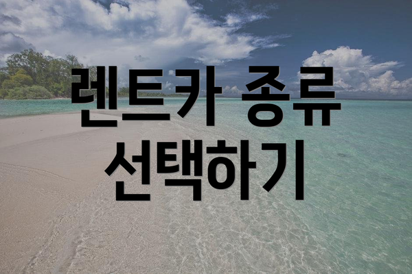 렌트카 종류 선택하기