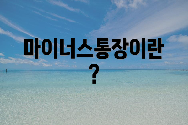 마이너스통장이란?