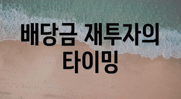 배당금 재투자의 타이밍