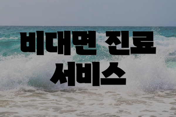 비대면 진료 서비스