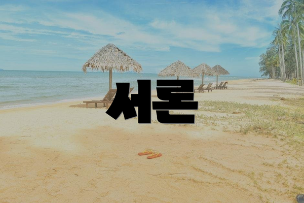 서론