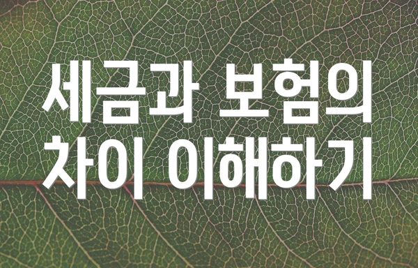 세금과 보험의 차이 이해하기