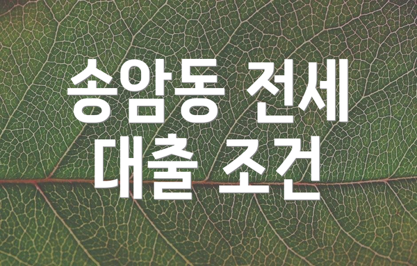 송암동 전세 대출 조건