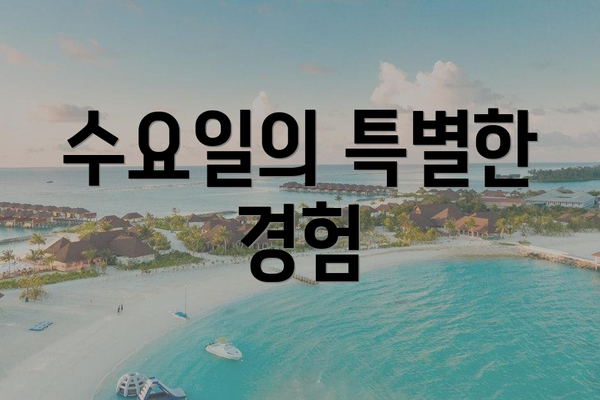 수요일의 특별한 경험